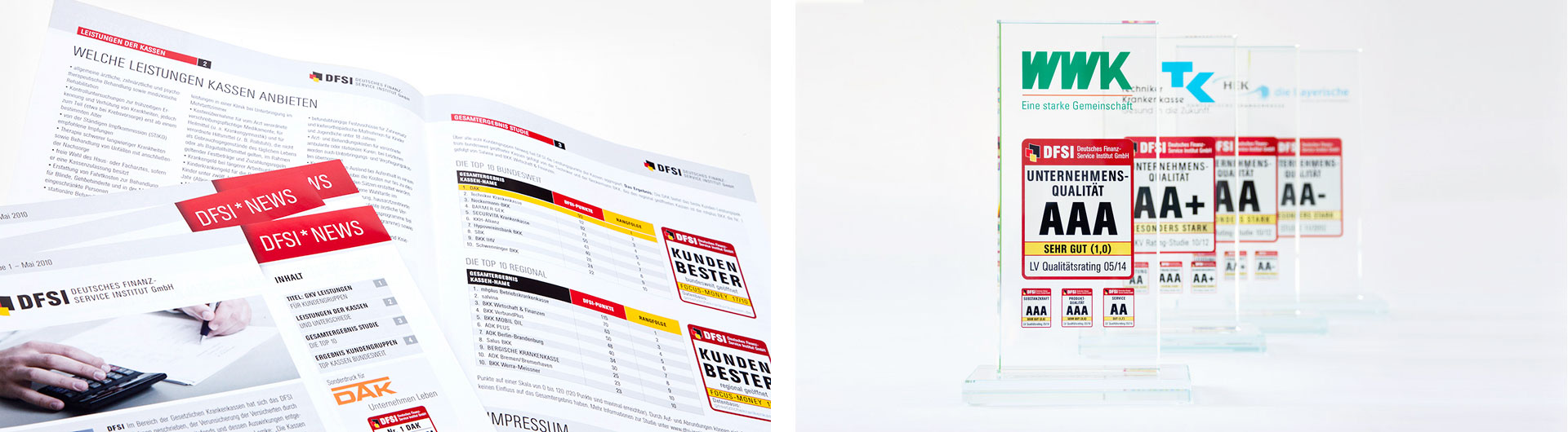 Deutsches Finanz-Service Institut